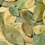 Coca Leaves 200 gr